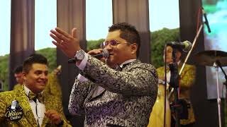 William Castro Y Orquesta - Samba - En Vivo - La Voz Perú