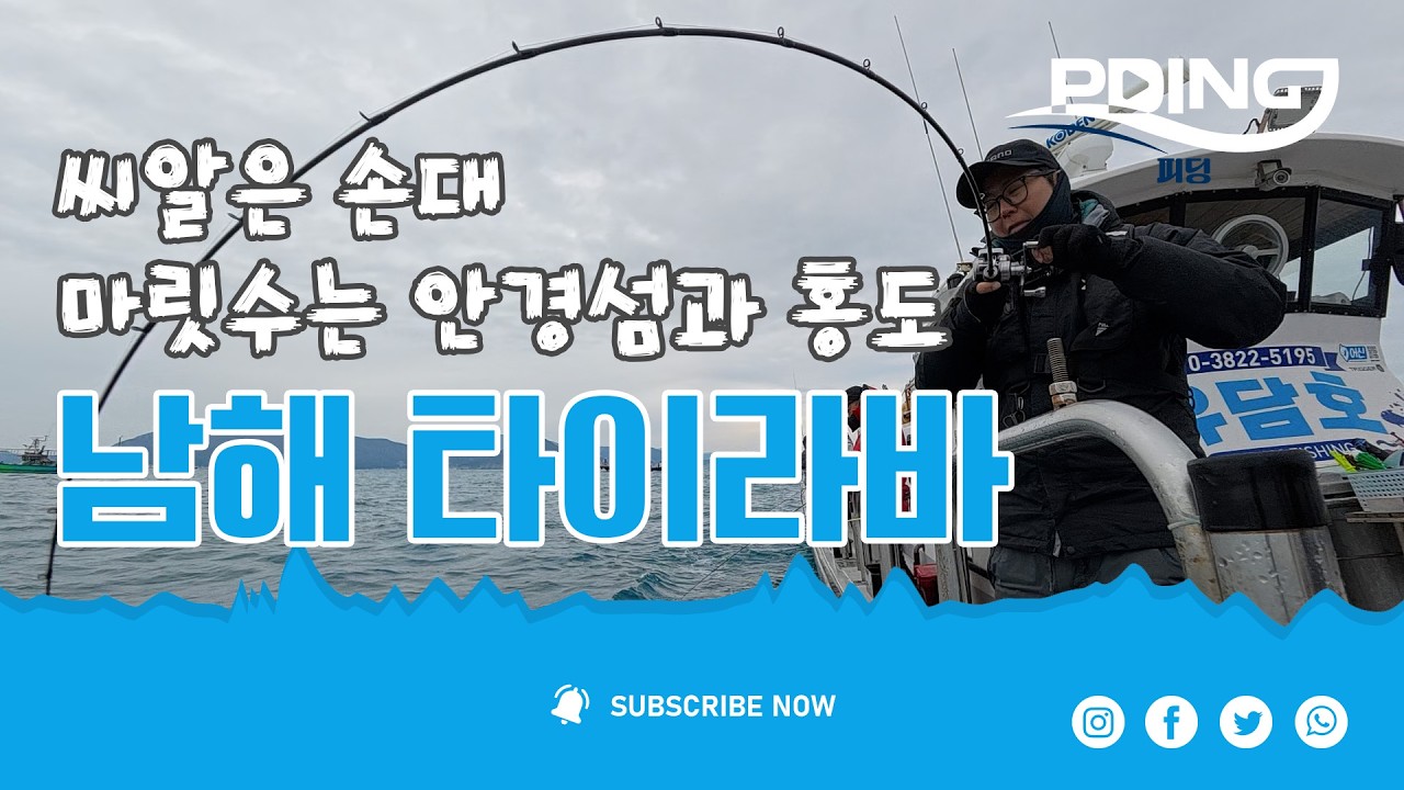 피딩 통영 타이라바, 씨알은 손대 마릿수는 안경과 홍도