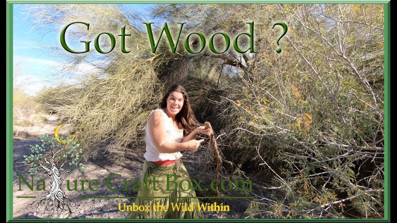 Toxic Wood of Arizona Do Not Burn This Wood Roadside Remedies YouTube
