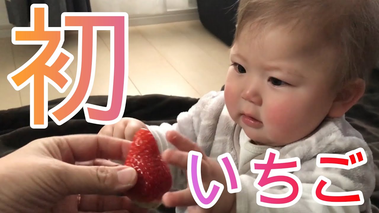 離乳食中期 初いちごに手づかみで挑戦 反応 Youtube 離乳食中期 初いちごに手づかみで挑戦 反応 Youtube