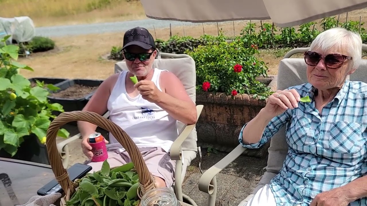 CHỊ CHỒNG GHÉ NHÀ CHƠI, ĂN CUA,THU HOẠCH DƯA LEO TRỨNG RỒNG, DƯA LEO CHANH, MÂM XÔI ĐỎ