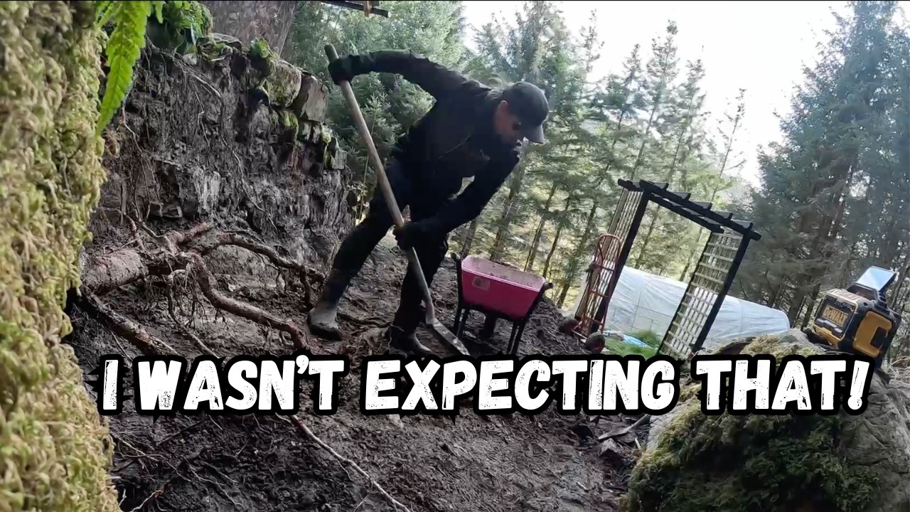 Digging out the fire pit area - BUT I hit a problem!