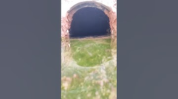 اكتب شيء تؤجر عليه ❤️🤲 #القارئ #اكسبلور #الرحمن #لايك #المصحف #العظماء