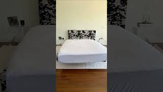 Ultra Set in Cow Net Worth