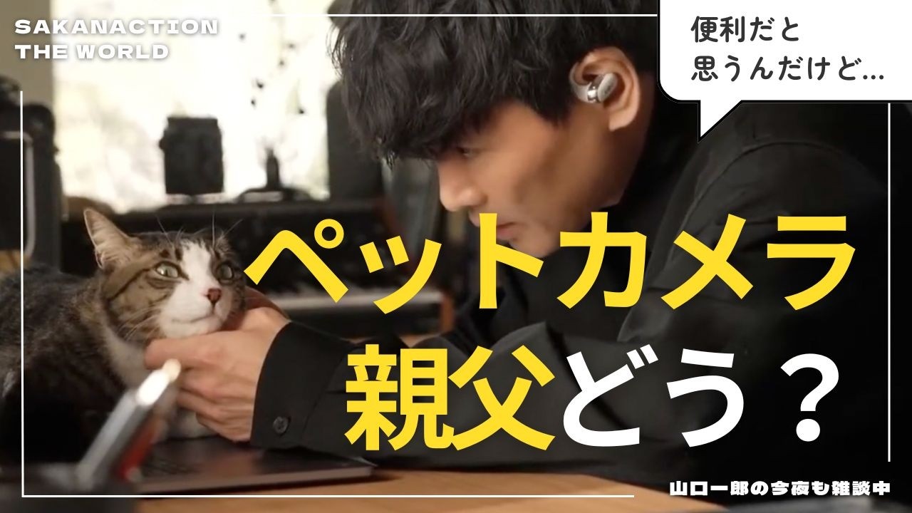 【愛猫ココちゃんのことで親父と電話】素敵な親子の関係性が垣間見えるほのぼの会話