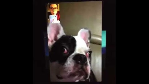 141208 [Siwon IG update ] : Bugsy =)))))
