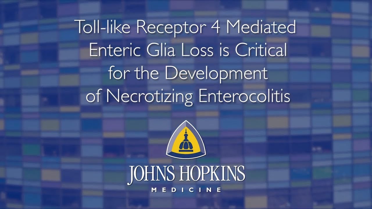 Necrotizing Enterocolitis | David Hackam, M.D., Ph.D.