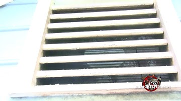 Bats in a Gable Vent in Atlanta, Georgia