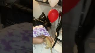 Girl Gets Emotional After Getting a Golden Retriever Gift
