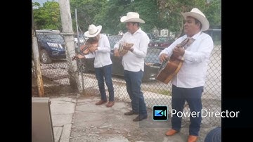 Thumbnail of La Cecilia - Trovadores de Pánuco