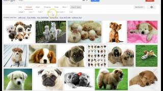 Google Images Search Tools
