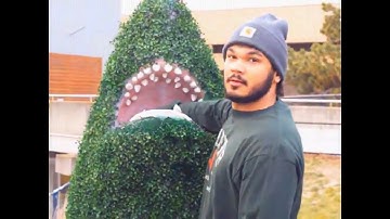 Audrelane - Mess I Made (Official Video)