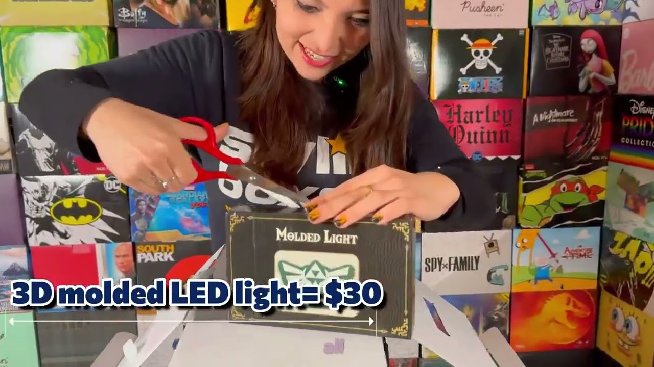 Zelda Mystery Box from Tears of the Kingdom