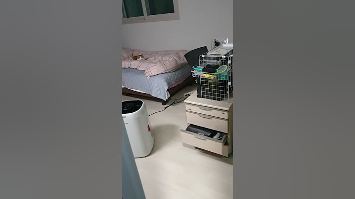 고양이 입양첫날 외출후 들어갔을때