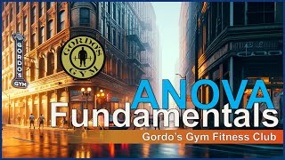 The Fundamentals of ANOVA