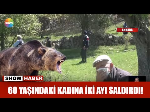 60 yaşındaki kadına iki ayı saldırdı!