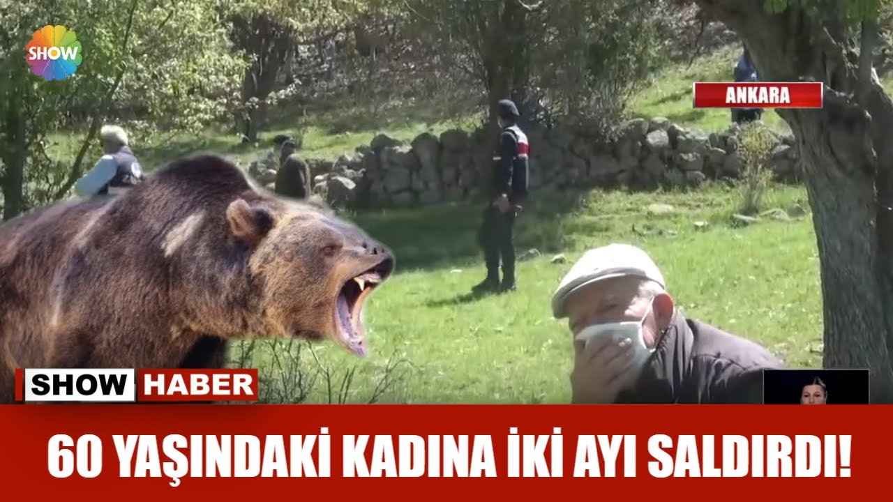60 yaşındaki kadına iki ayı saldırdı!