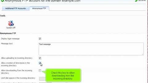 Plesk 10 tutorial: Anonymous FTP