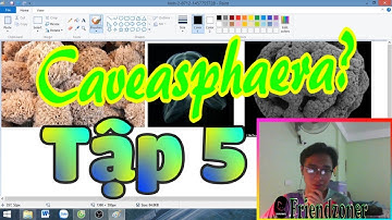 FRETURN (Băn Khoăn) | Tập 5 | Chức vô địch có xứng đáng dành cho Caveasphaera?