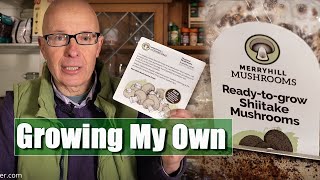 Growing Mushrooms with the Merryhill Mushroom Kit