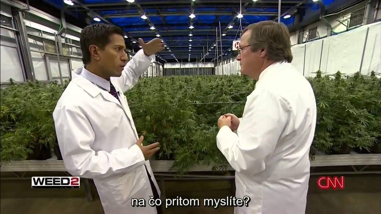 WEED 2 - konopné šialenstvo - reportáž CNN od Dr. Sanjay Guptu z r. 2014