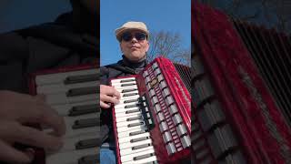 Muss i denn zu Stadtele naus - Accordion