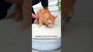 Now with furs AND leak-proof ✨