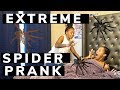 EXTREME SPIDER PRANK ON WIFE while SLEEPING! | HUGE REAL SPIDER PRANK | SPIDER PRANK ON GF |