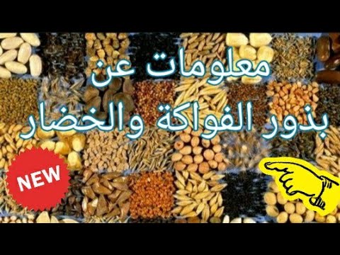 معلومات عن البذور وأشكال البذور والخضار