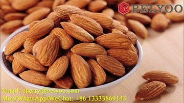 Almond shelling machine/almond cracker machine/almond huller machine video