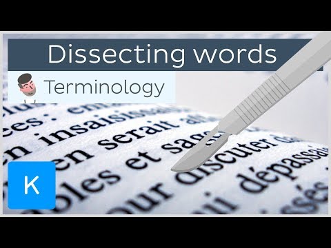 Video: Este transecția un cuvânt?