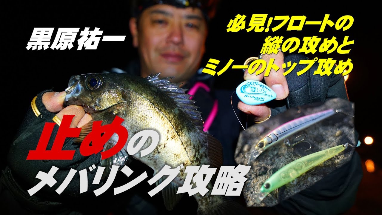 フロートで縦の釣りにチャレンジ 釣りダディーのファミリーフィッシング釣果録 其の弐