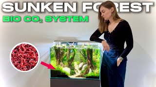 I Tried Bio CO₂ for 30 days, And Found Something Strange In My Tank