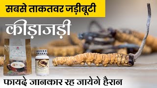 Kidajadi | DXN Cordyceps Coffee Capsule ke fayede | sabse powerful jadi buti