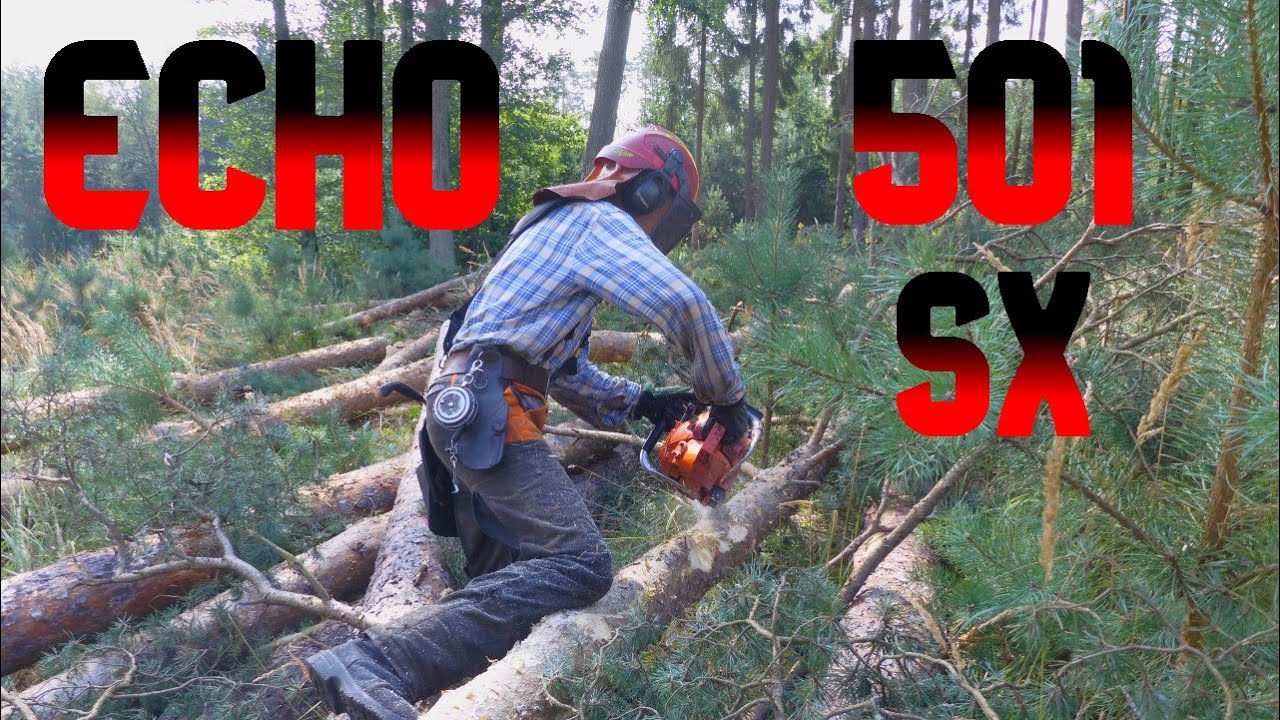 Forest job / Těžba borovic z podrostu - Echo 501 SX #377