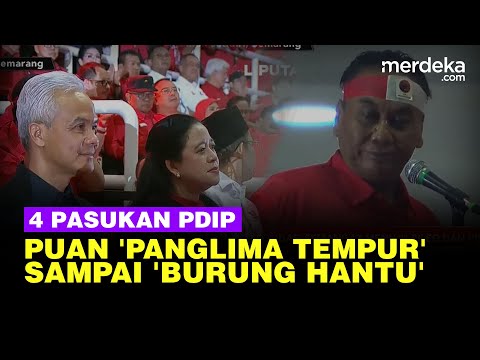 Video: Puan burung tentang apa?