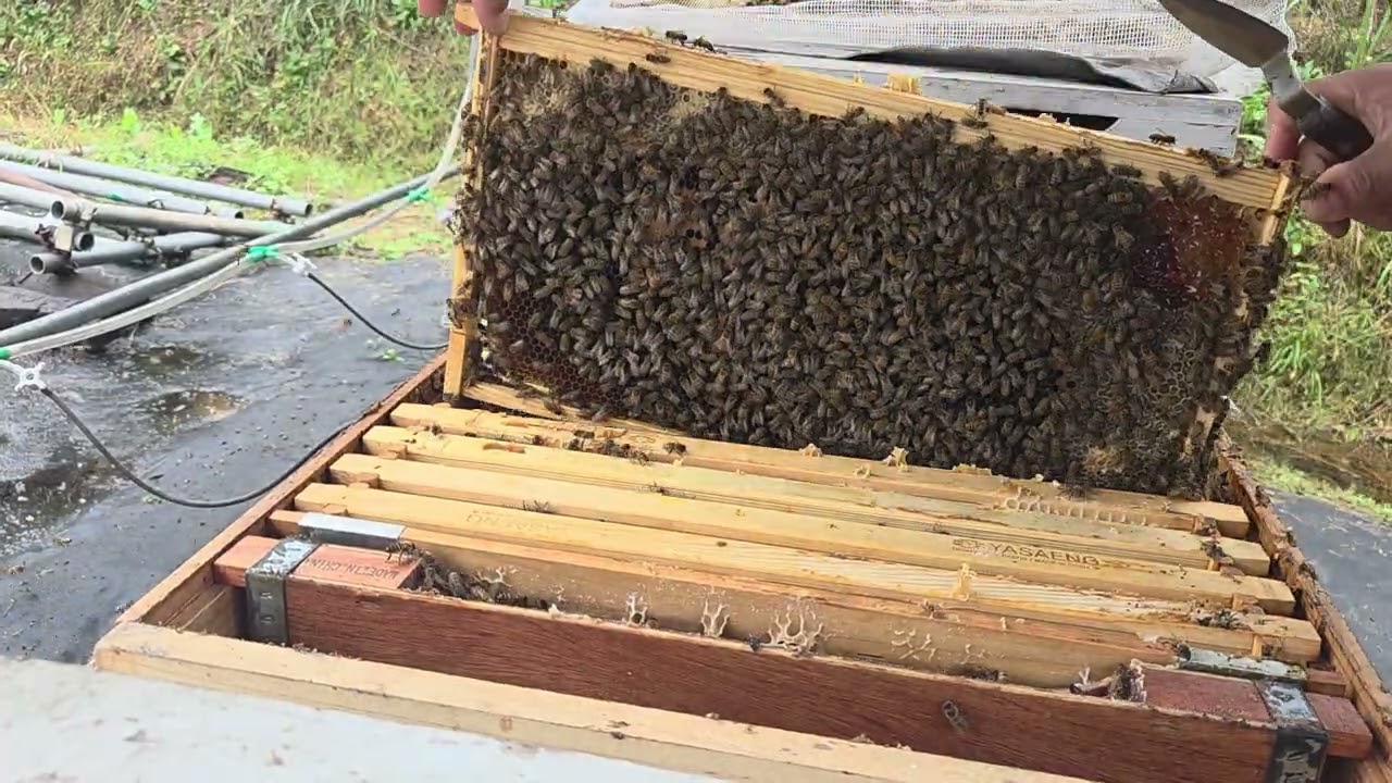 (분양완료)25.10.18.