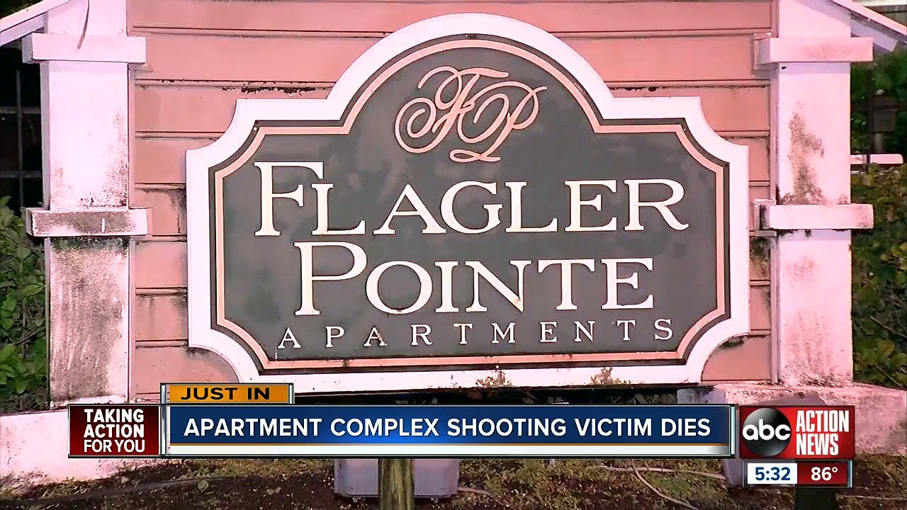 Man shot, killed after fight breaks out at St. Petersburg apartment ...
