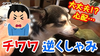 逆くしゃみ Youtube