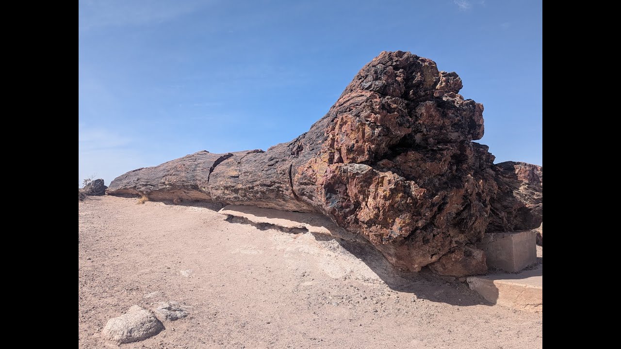 Окаменевший лес Аризоны, 2025 год.