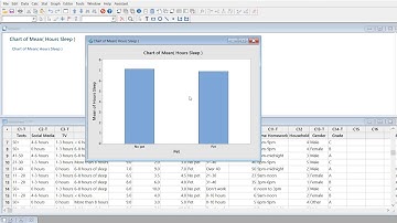 Numeric and Categorical Data Bar Chart