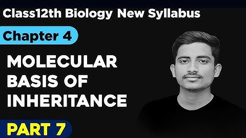 part7) Ch 4)  molecular basis of inheritance class12th new syllabus of science student ex.in marathi