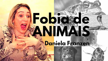 Como perder o medo de um animal?