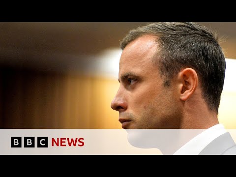 Oscar Pistorius makes new parole bid 10 years after murdering Reeva Steenkamp - BBC News