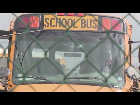 What will happen to 11-year-old accused of sexually assaulting 6-year-old student on Aldine ISD bus?