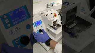 Brain Slice on Campden Instruments 7000smz-2 Vibrating Microtome