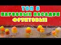 Топ 8 карповых насадок из бойлов на фруктовой основе. За рыбалку!!!