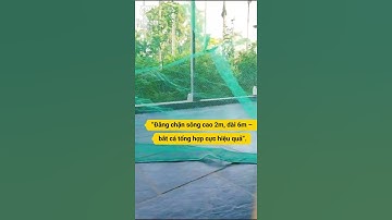 Feedback Đăng Chặn Sông 2m x 6m – Cánh 3m, Mắt 3ly Bắt Cá Tổng Hợp | Rớn Chặn Sông, Xăm Cánh #shorts