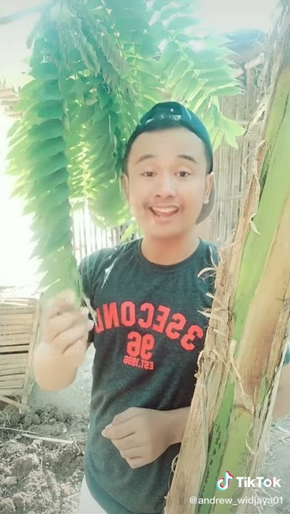 TikTok Andrew widjaya pake suara Lila kocak baget