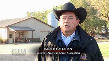 The Angus Report, Oct. 15, 2012: Horizons